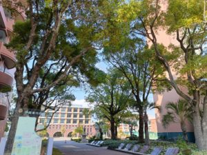 東大阪大学・東大阪大学短期大学部での研修